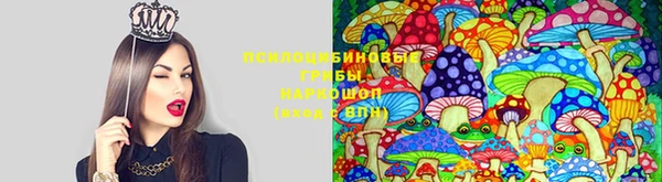 первитин Гусев