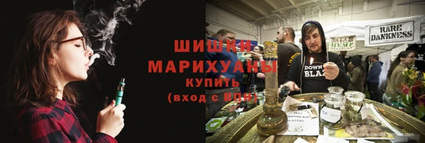 apvp Гусиноозёрск