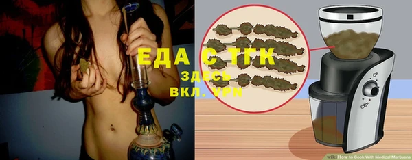первитин Гусев